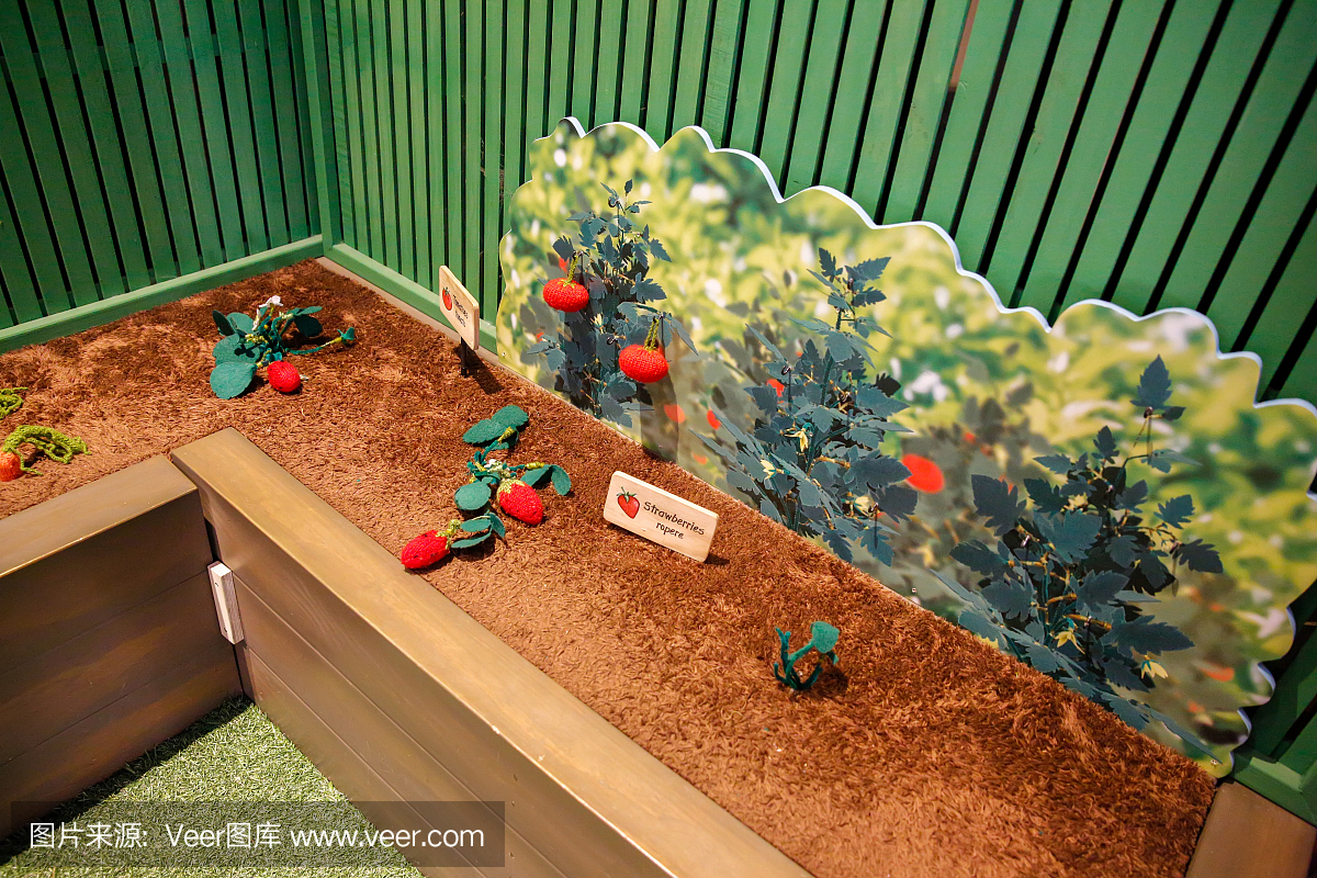 汉密尔顿花园,新西兰