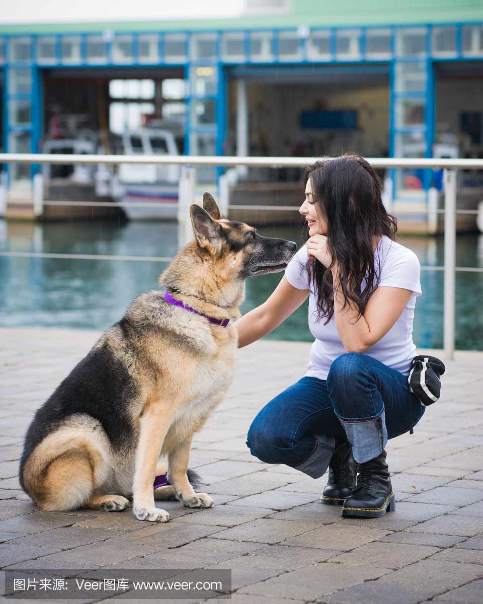 德国牧羊犬,德牧,德国黑背,德国牧羊犬獒