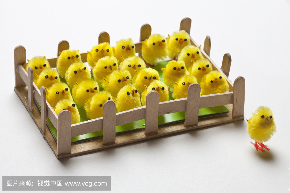 一群玩具复活节小鸡围着栅栏围起来