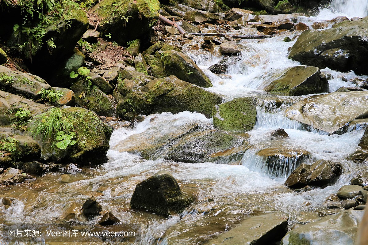 渗出,渗漏,滴出的,渗出的
