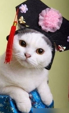 搞笑动物相关qq表情_可爱搞笑图片_第10页-44kb