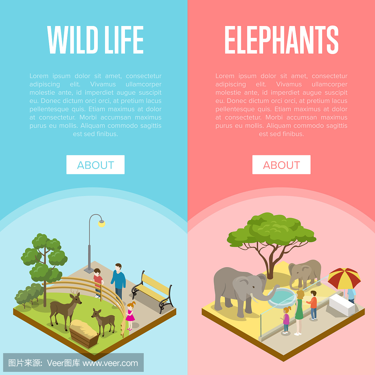公共动物园等距3D海报设置