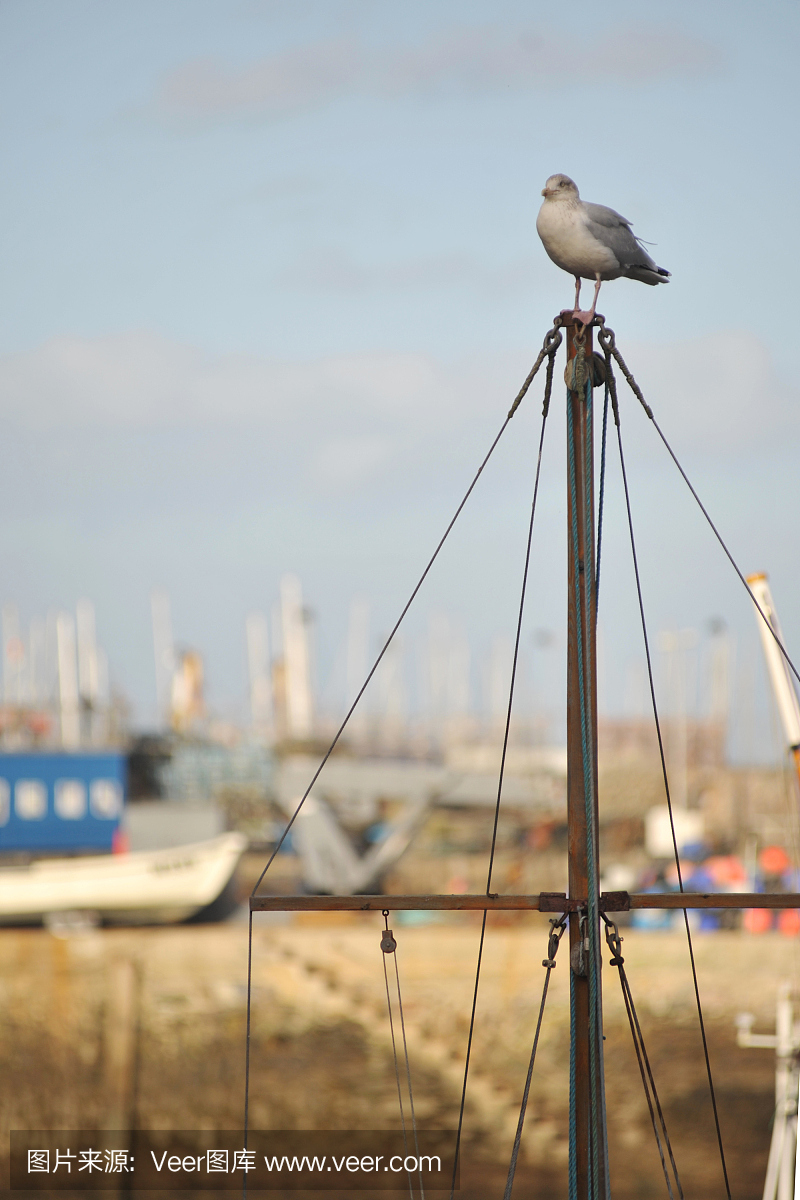 布里克瑟姆,布里克萨姆,英国布里克瑟姆市,布立