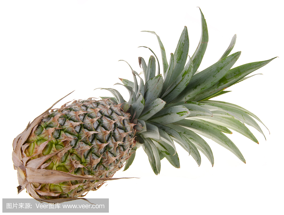 菠萝,在背景上的菠萝热带水果