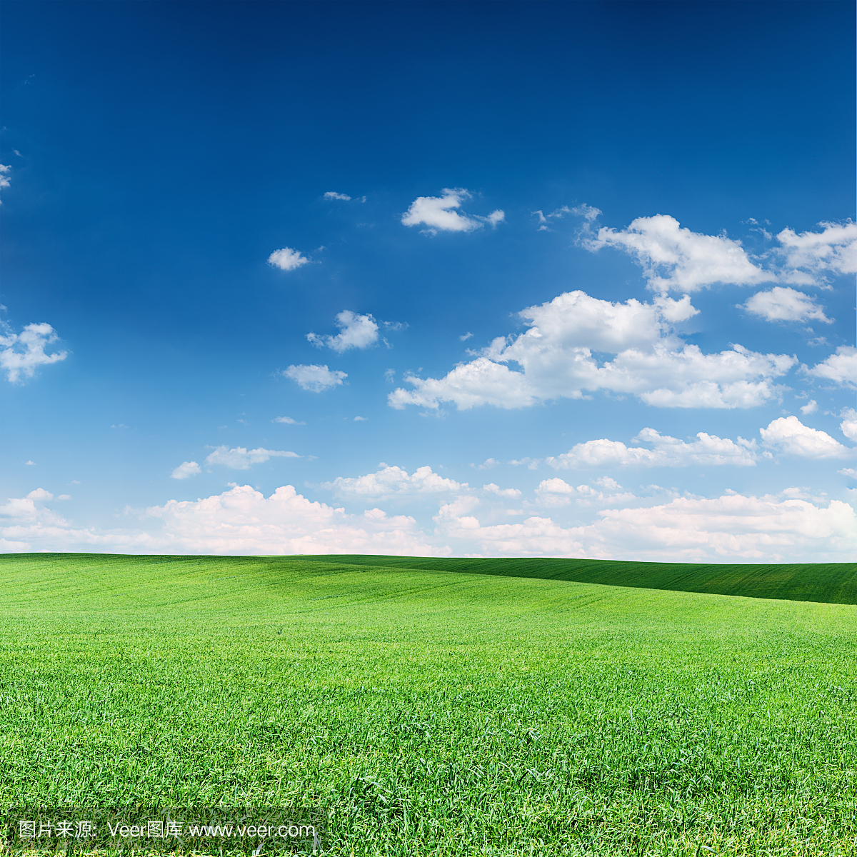 广场春天风景 - 绿色的田野,天空与云彩