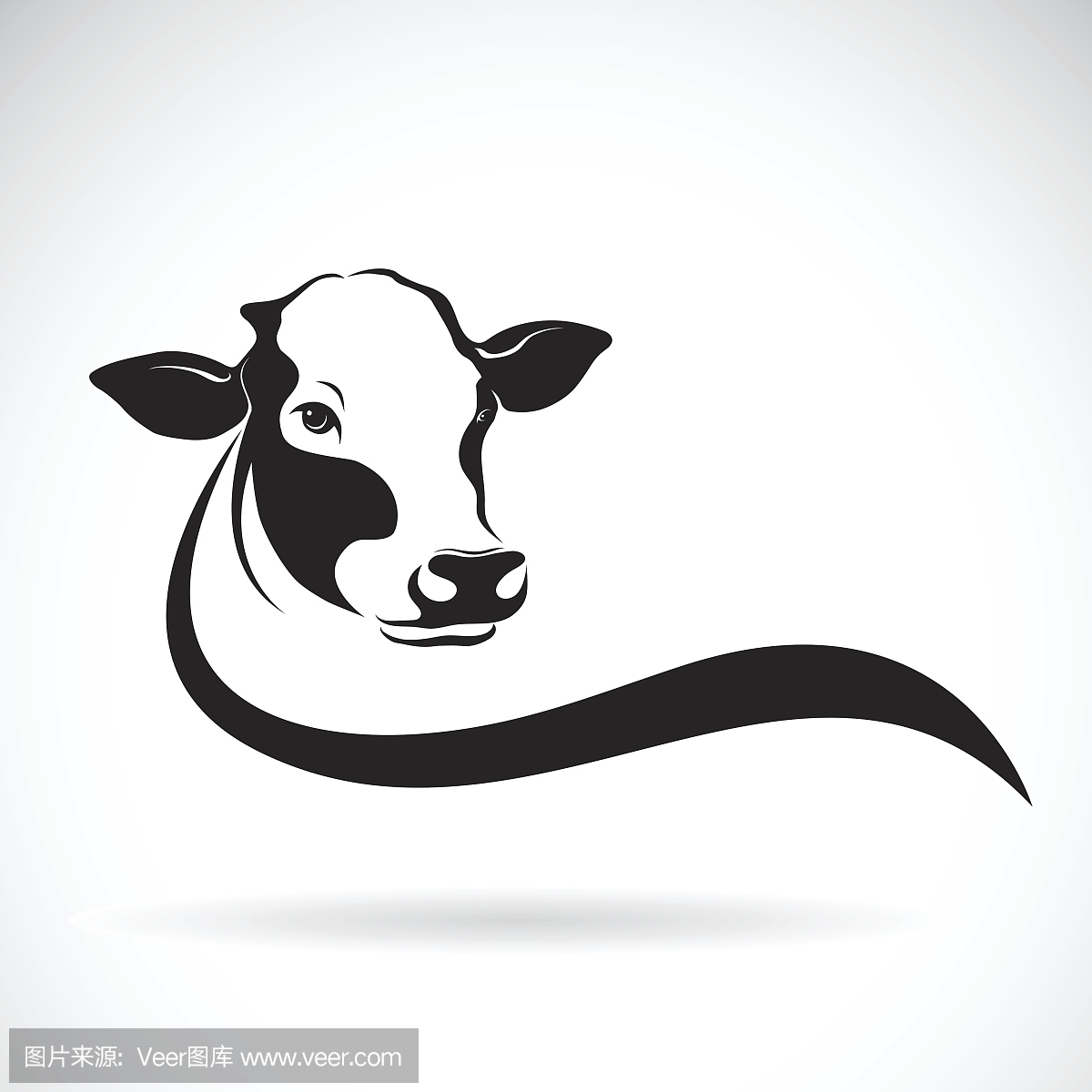 牛头设计在白色背景上的矢量。农场动物。