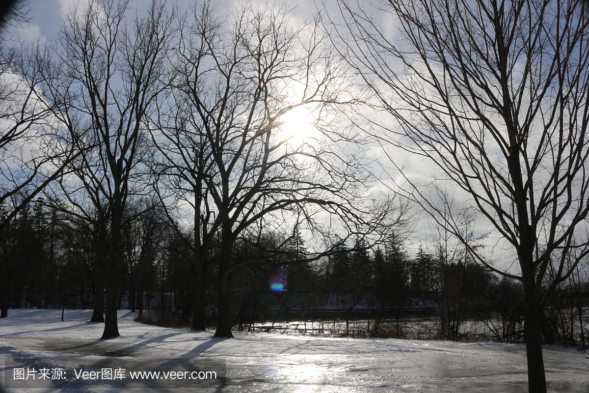 斯普林班克公园,伦敦安大略加拿大,在冬季的风