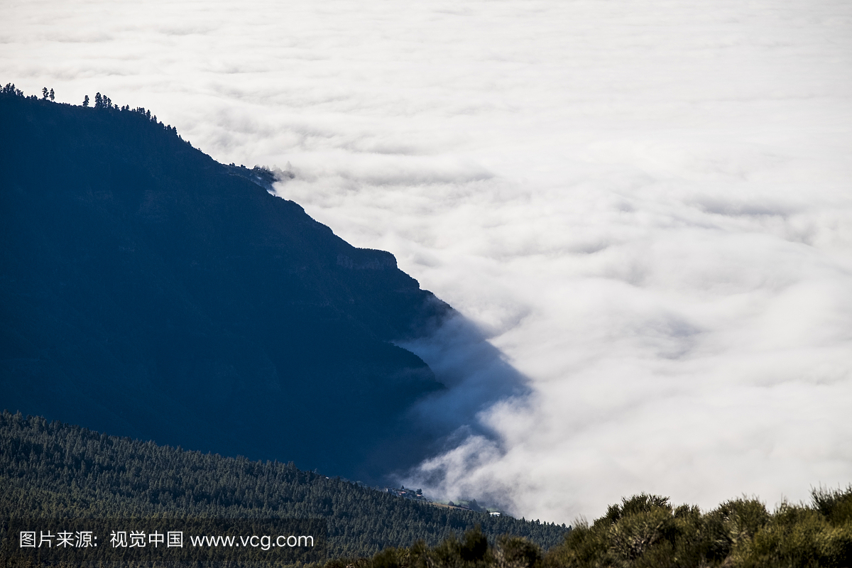 西班牙,特内里费岛,雾在埃德泰德地区的山区
