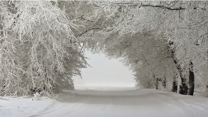 好看的冬季唯美雪景高清图片合集电脑桌面壁纸-2273kb 高清雪景图