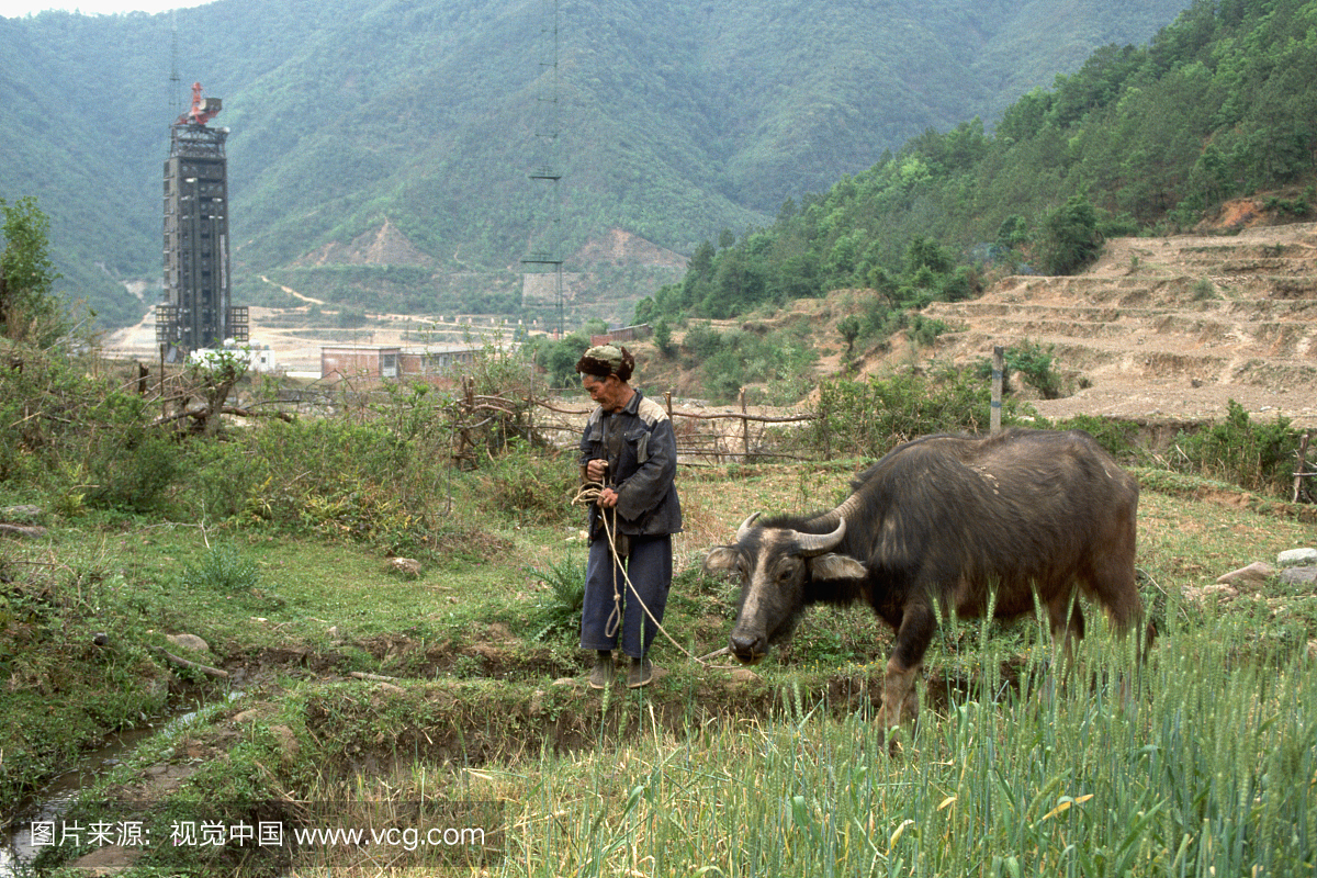 Farmer and Water Buffalo by a Launch Pad