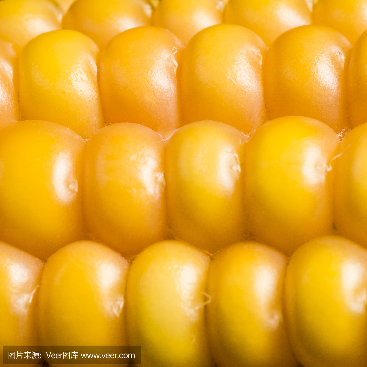 老玉米,玉米棒子,玉米棒,素食