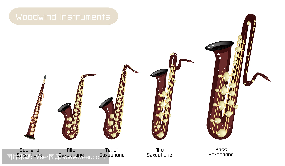 不同种类的音乐萨克斯在白色背景