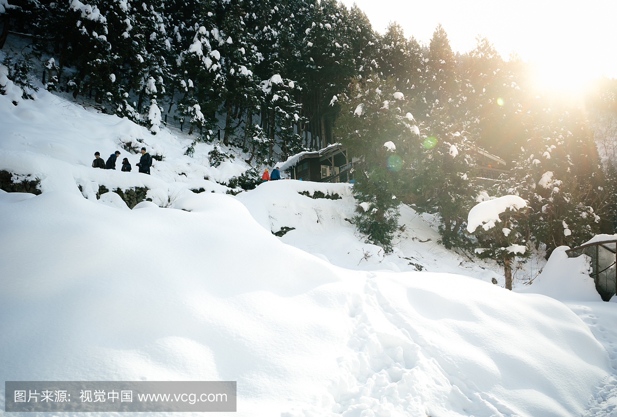 日本 - 长野附近的Jigokudani雪猴公园的入口