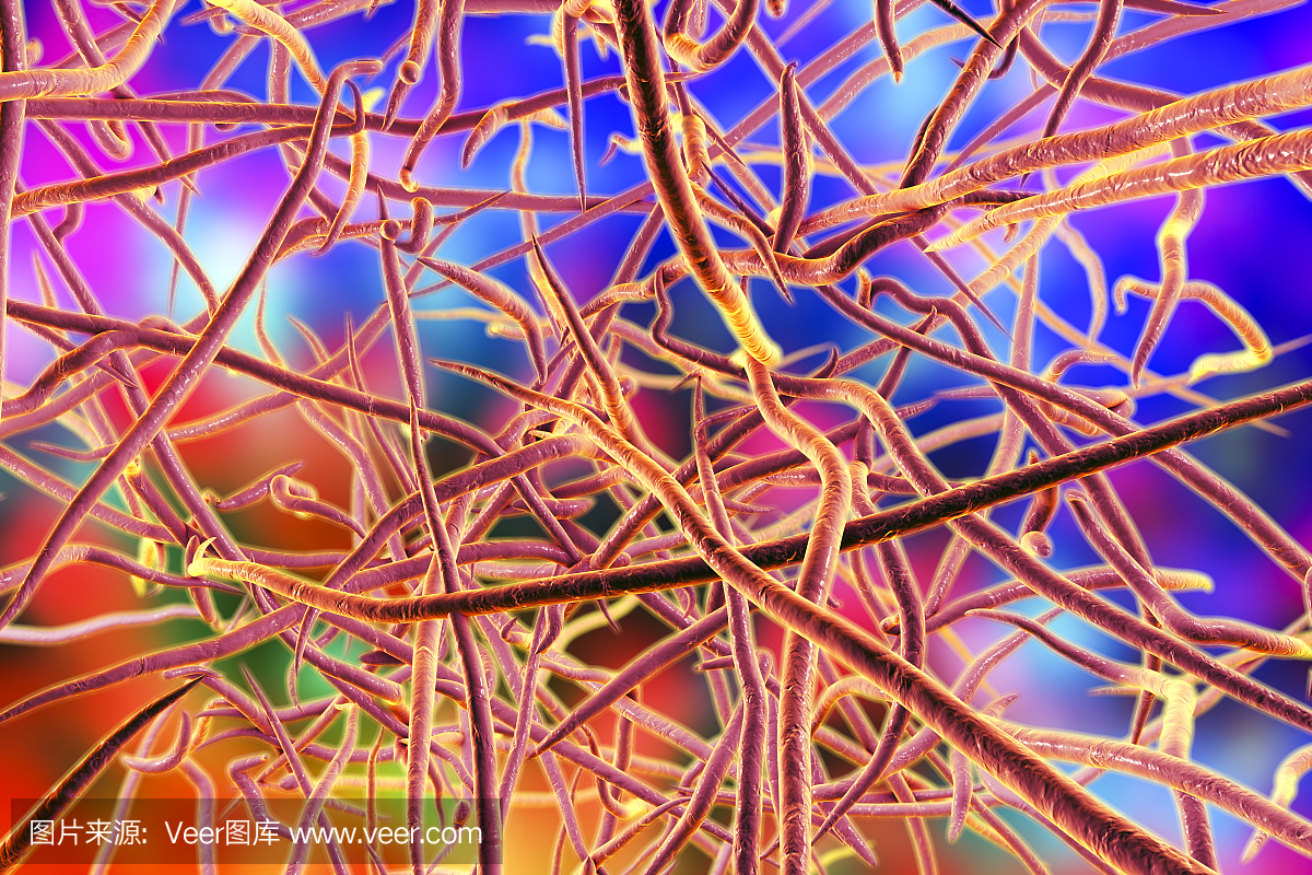 足分支菌,马杜拉足,诺卡氏菌属,土壤丝菌属