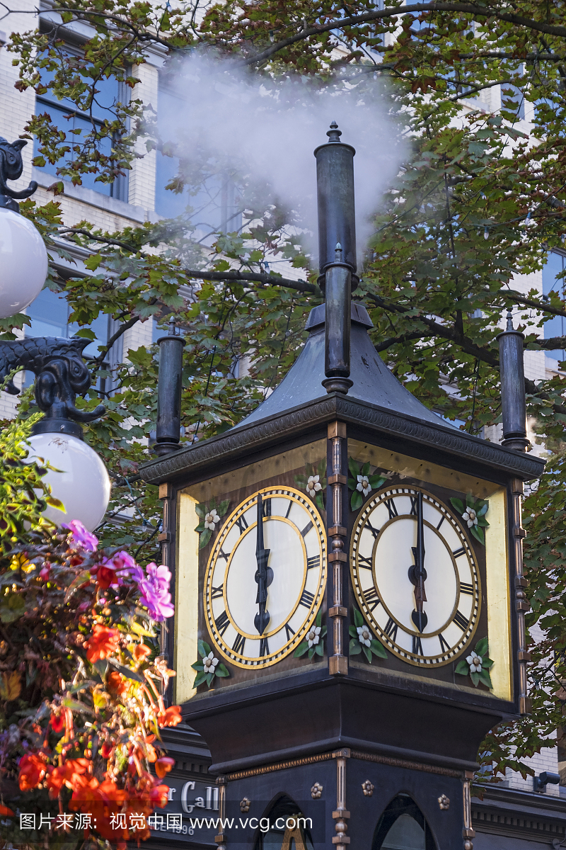 温哥华,时间,华丽的,垂直画幅