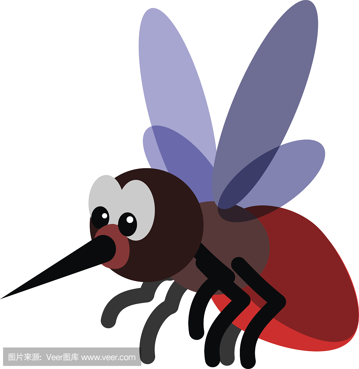 吸血动物,吸血的,蚊子,蚊子图片