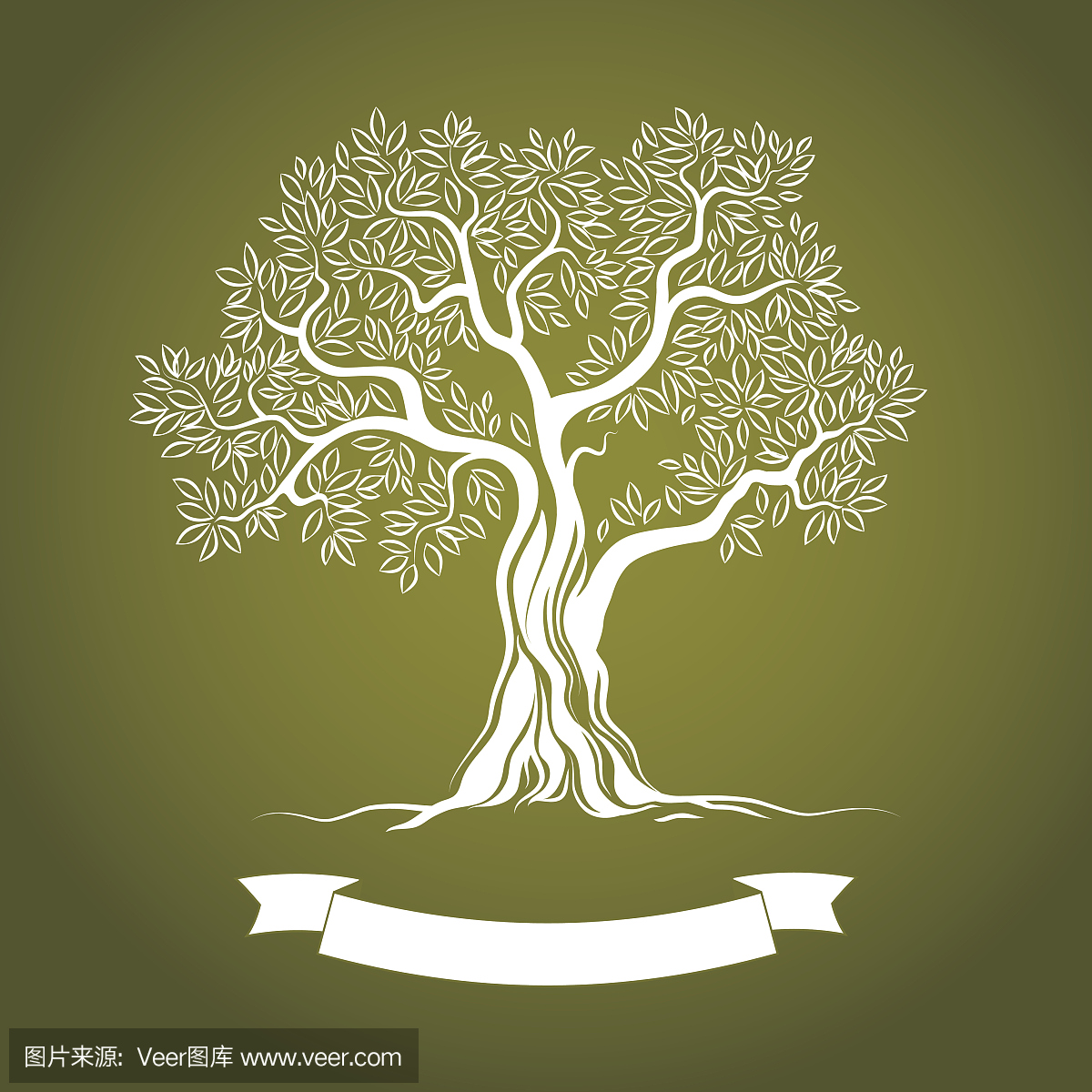 矢量插画的白色橄榄树在绿色