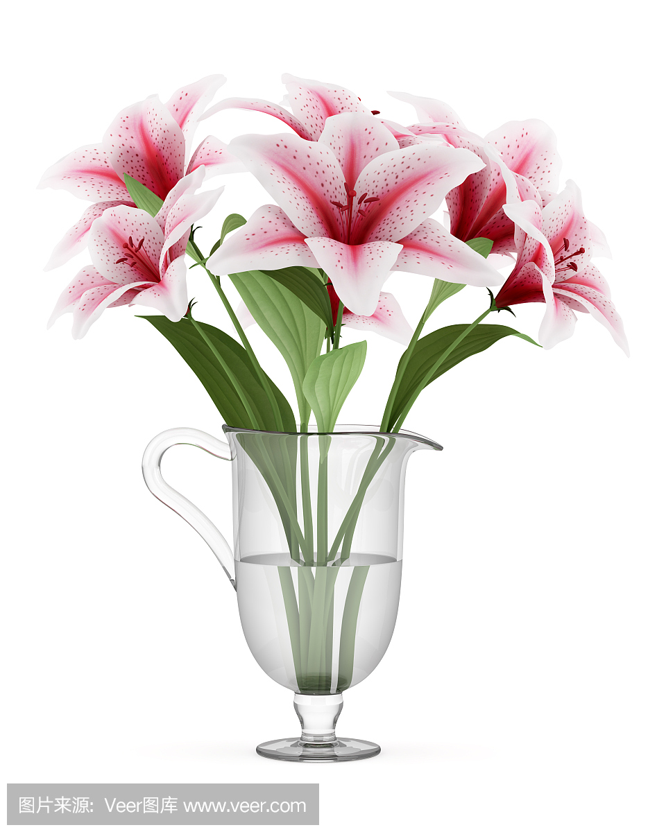 在白色背景隔绝的花瓶的粉红色百合花束