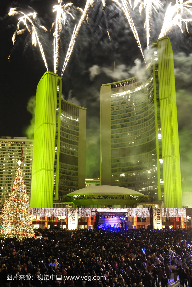 群众,放焰火,人,节日