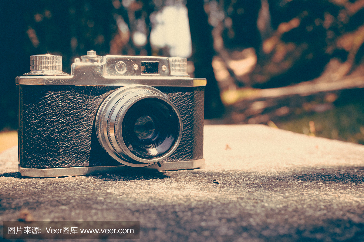 松果,松球,松树种子,模拟设备