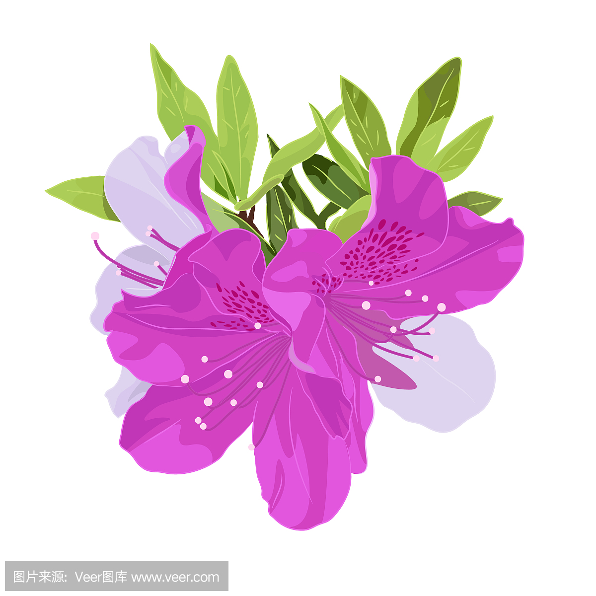 美术工艺,品红色,画画,侏儒