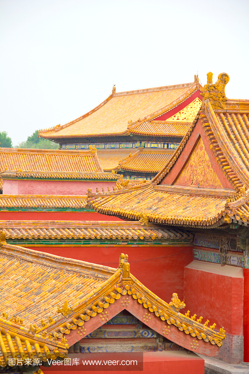 北京紫禁城传统屋顶