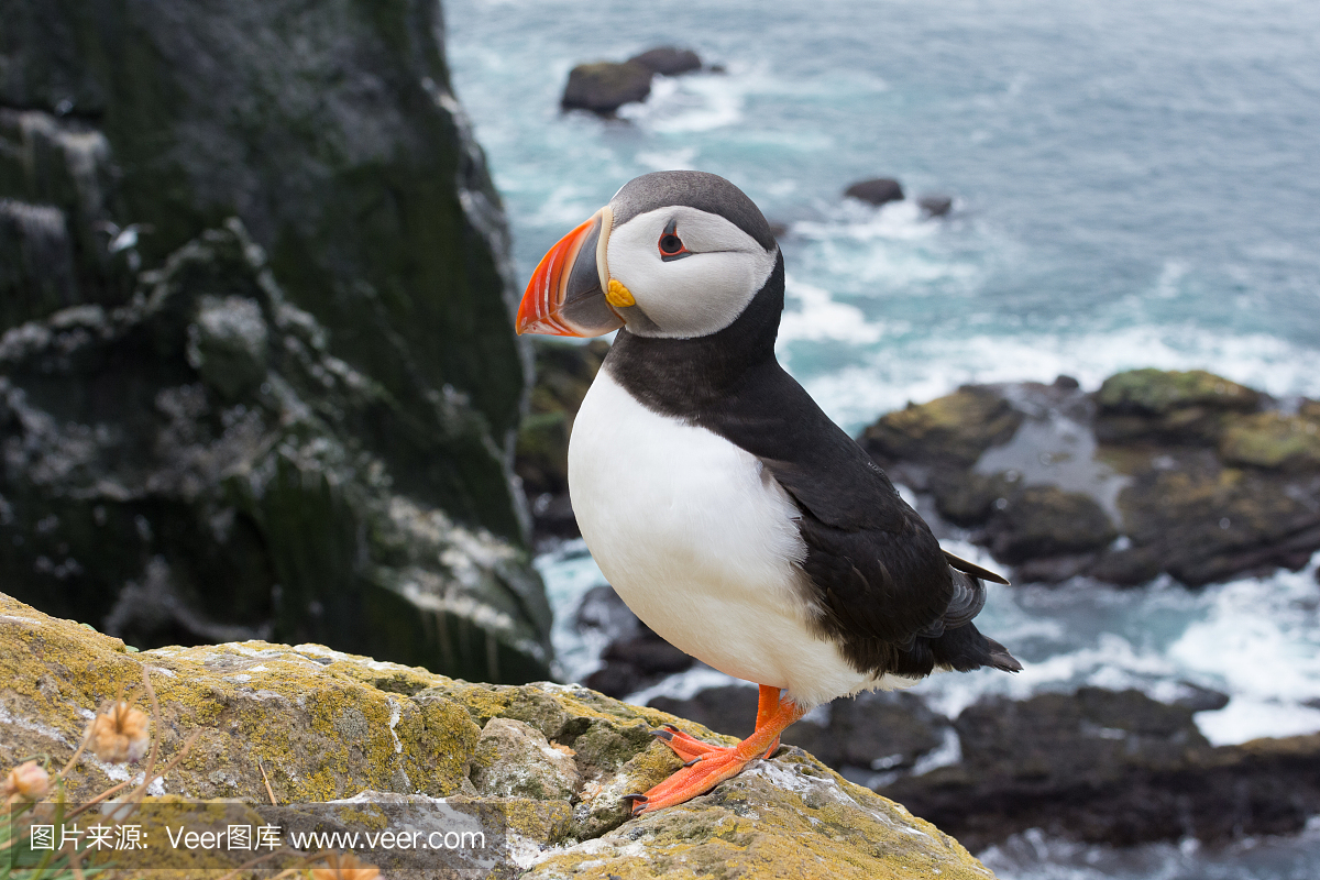 西弗加兹,西Fjords,裂缝,断岩