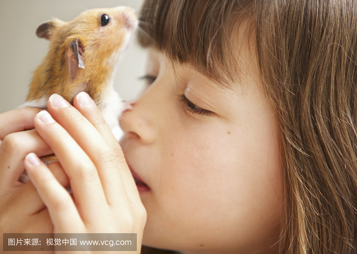 仓鼠,大老鼠,硕鼠,大田鼠