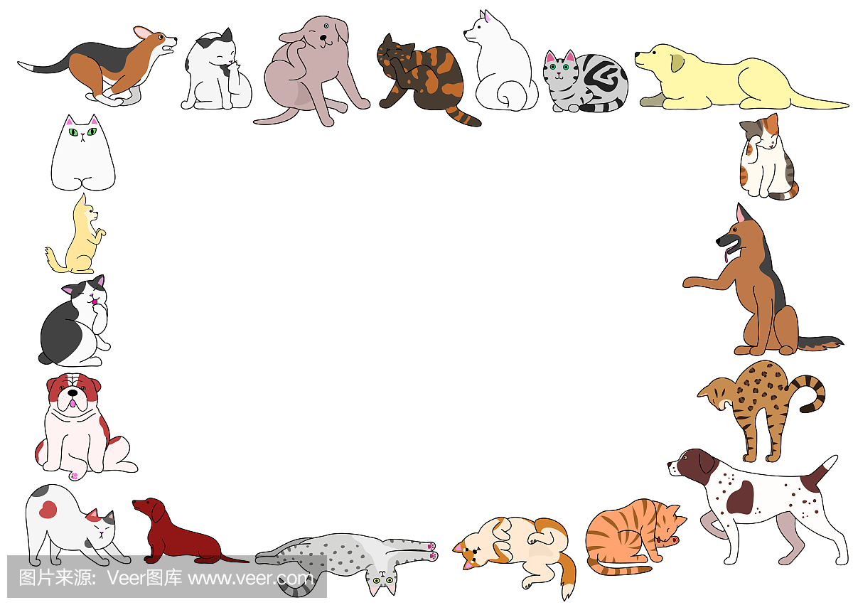 各种狗和猫姿势的框架