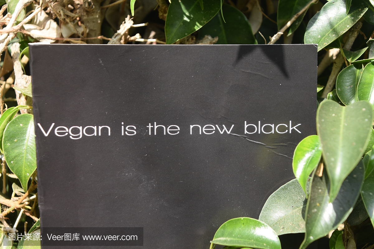 素食,蔬菜,英语,以色列