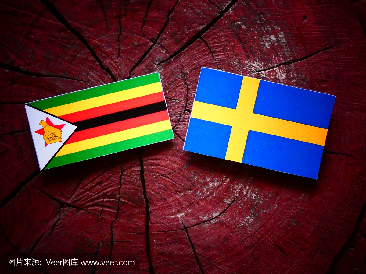 津巴布韦国旗与瑞典国旗孤立树树桩