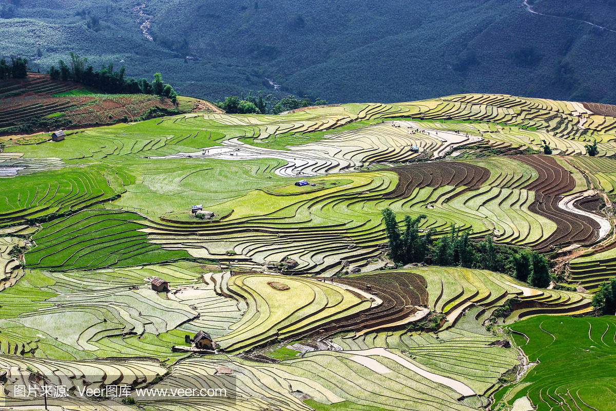 露台大米在Sapa - 越南图像股票