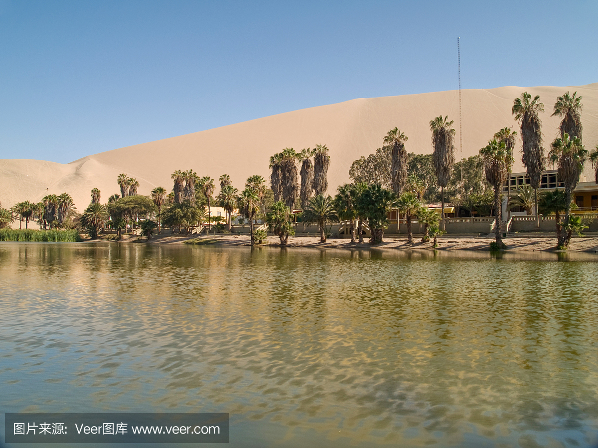 沙滩滑板,沙丘滑板,沙丘滑板游戏,沙漠绿洲