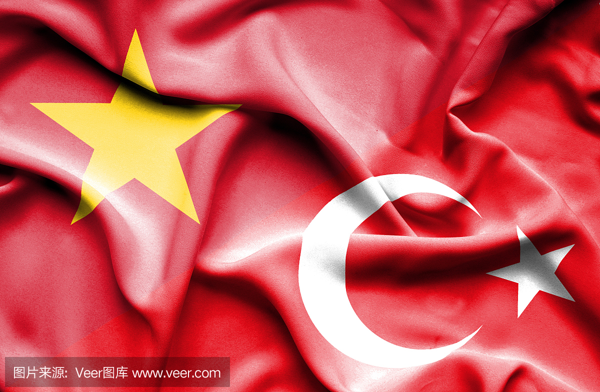 挥舞土耳其和越南的国旗