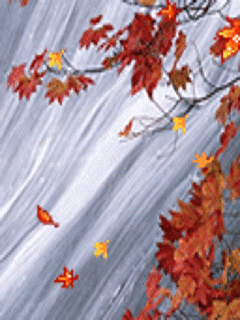 动态自然风景手机墙纸(240*320)-风景壁纸-手机-176kb