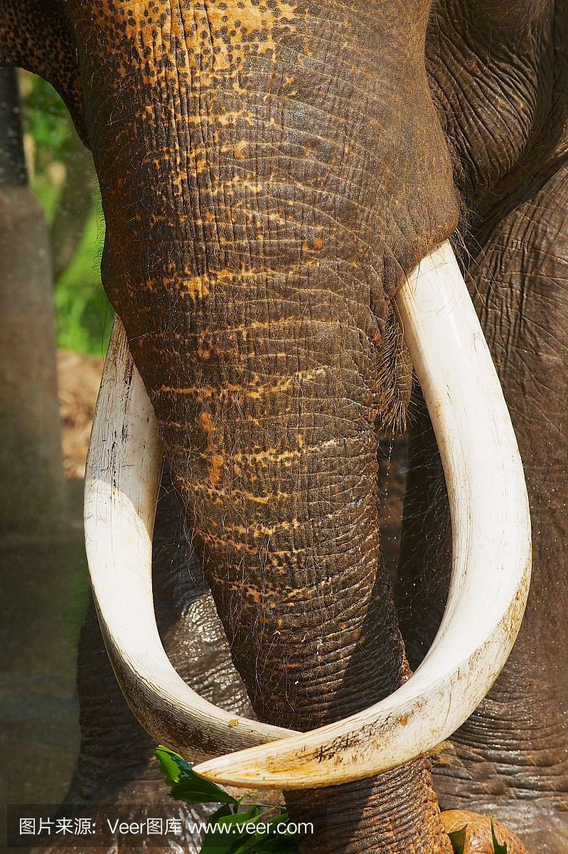 康复中心,复健中心,术后康健,术后训练