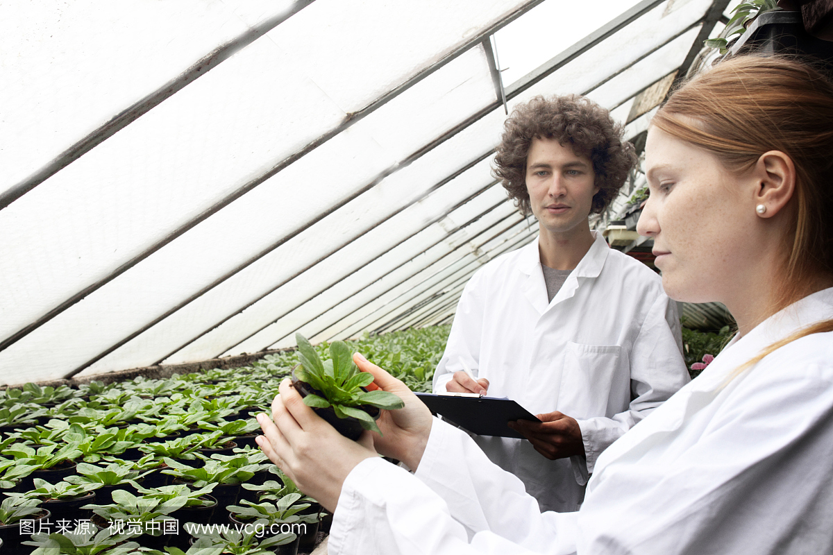 在温室工作的园艺学家