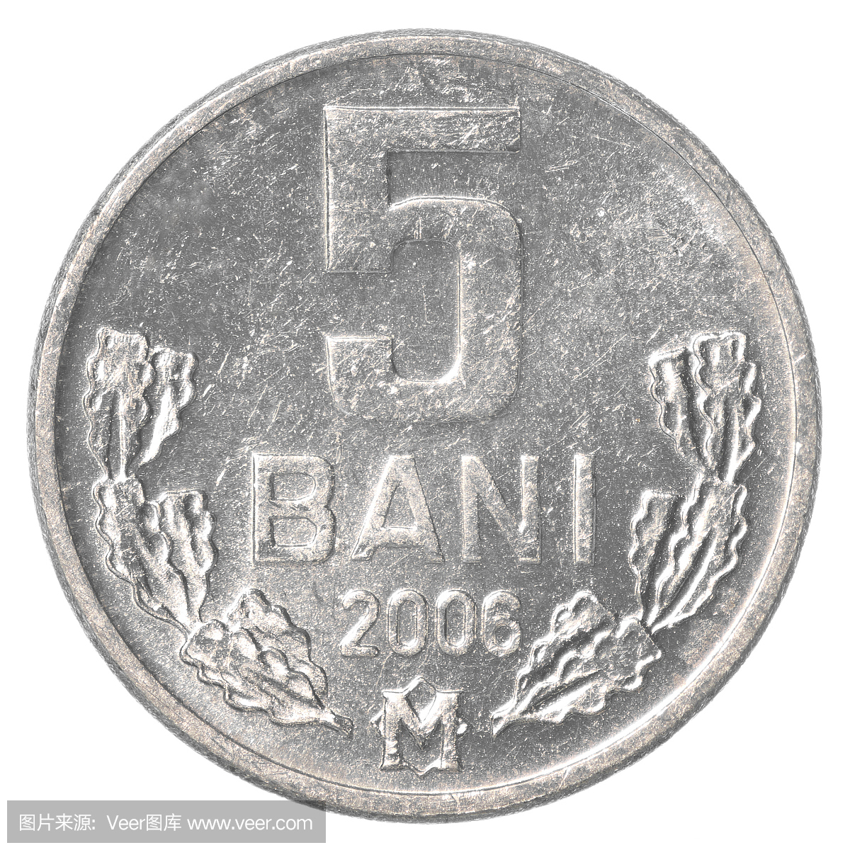5摩尔多瓦巴尼硬币