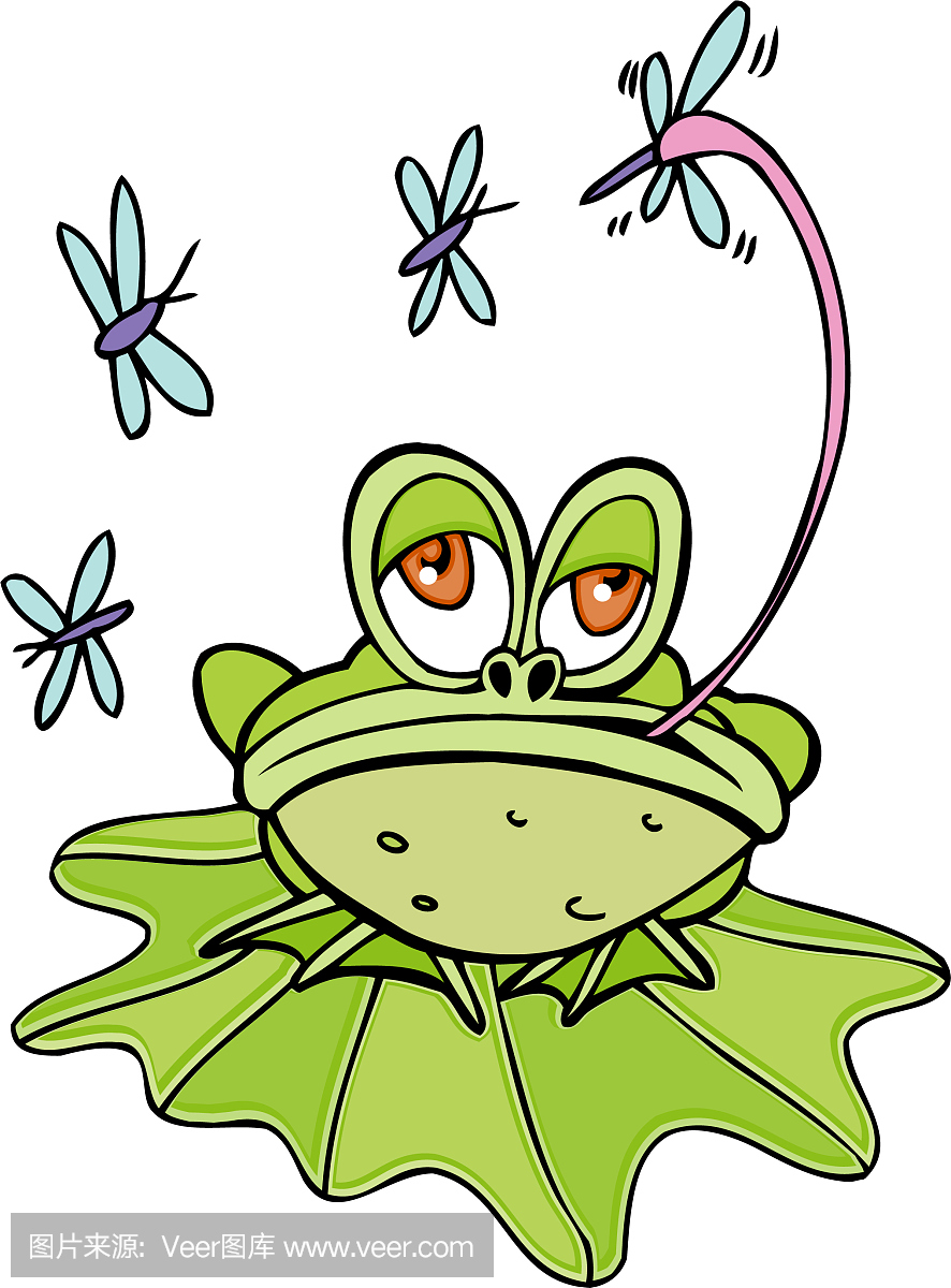 蚊子,蚊,蚊子图片,灭蚊