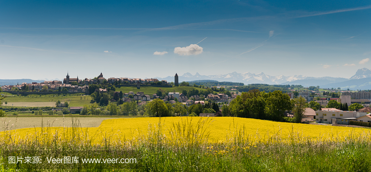农业,美国小镇,城墙,瑞士阿尔卑斯山