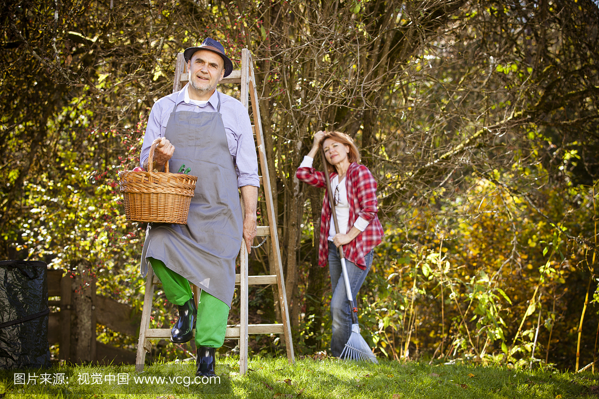 家庭采摘苹果,慕尼黑,巴伐利亚,德国