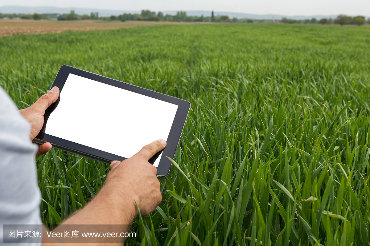 可持续资源,可持续,计算机软件,活动