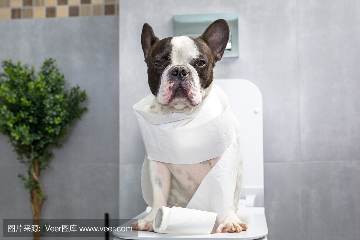 热水器安装后未使用就漏水