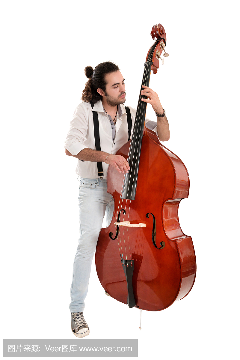 低音提琴,双贝司,贝斯,独奏演员