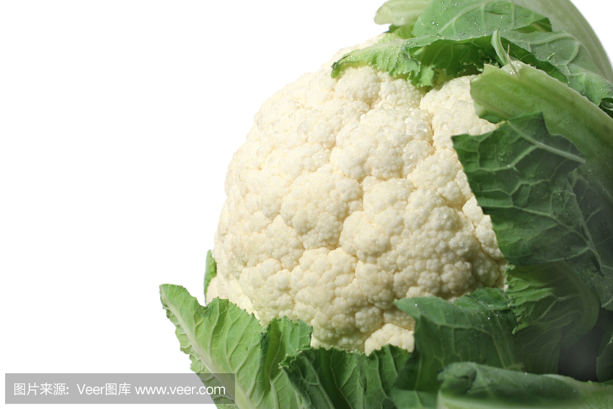 水平画幅,无人,健康保健,营养品