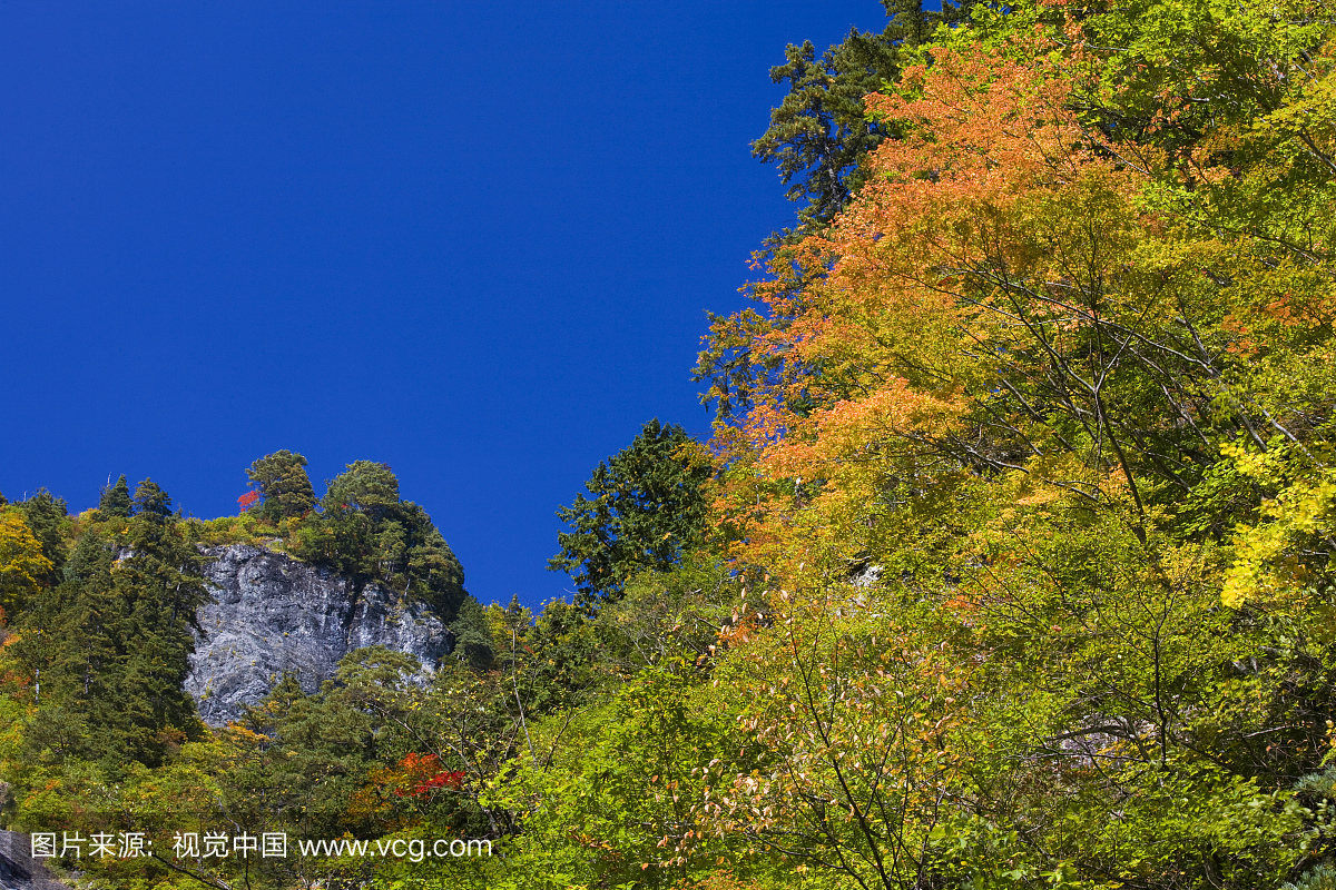 公吨。秋天的白山,石川县,本州本州