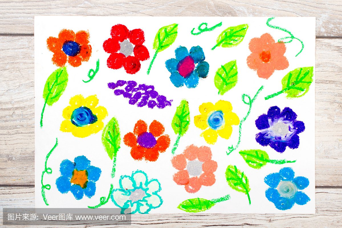 五颜六色的图画照片:美丽的花朵在花园里。