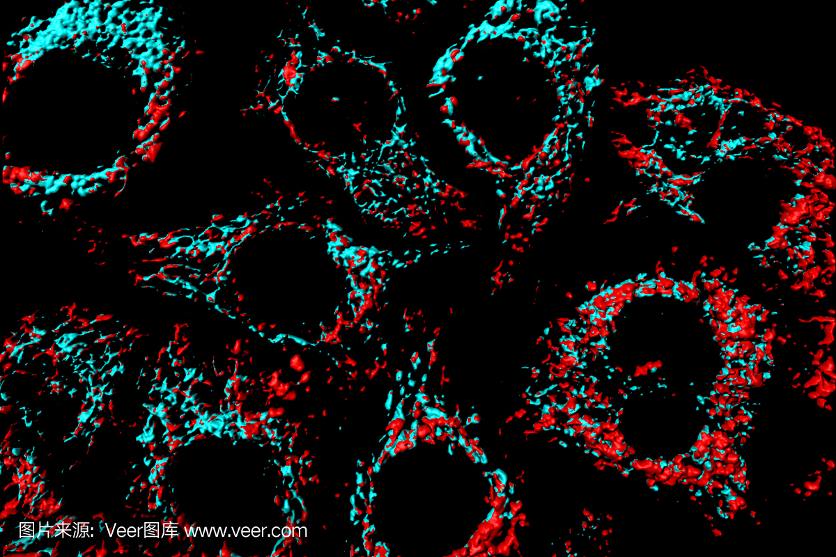 人宫颈癌传代细胞,子宫癌,海拉细胞,海瑞埃塔细
