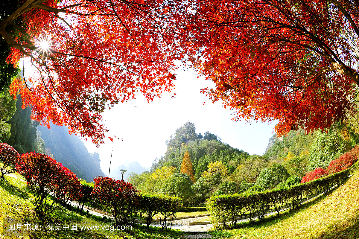 长沙,长沙市,旅行,遨游