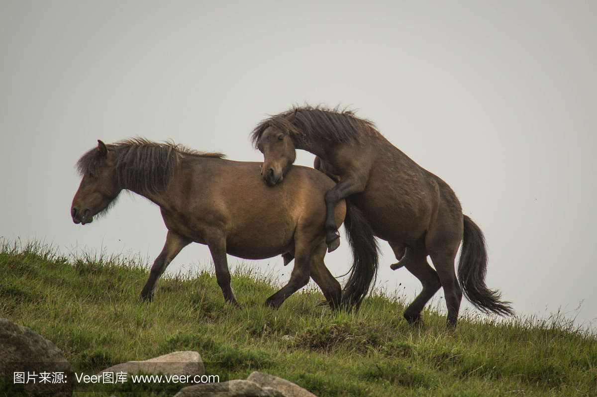 唐区,马州蒙下郡,玛州蒙郡下郡,北爱尔兰